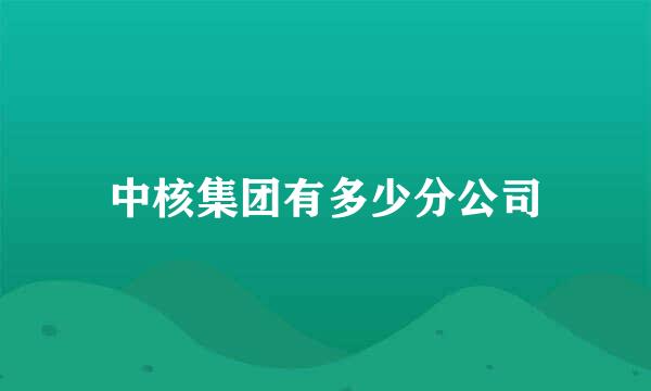 中核集团有多少分公司