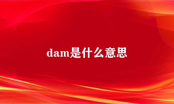 dam是什么意思