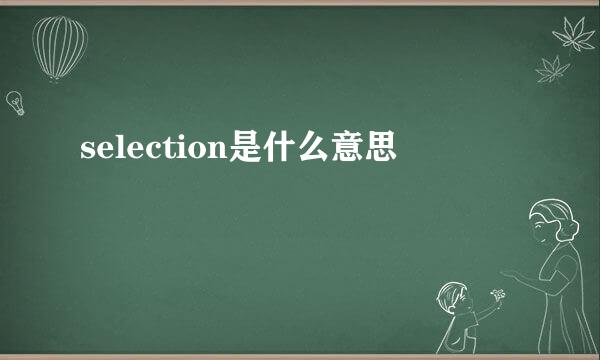 selection是什么意思