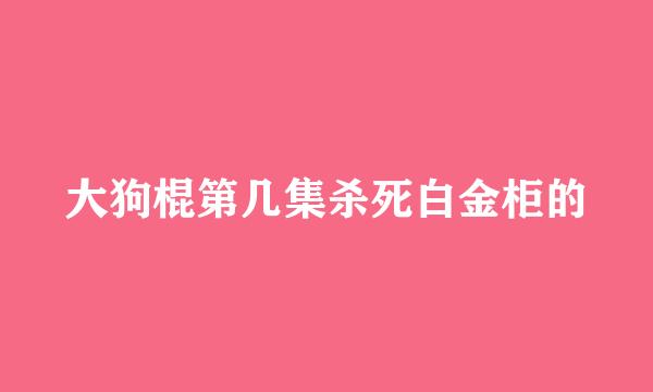 大狗棍第几集杀死白金柜的