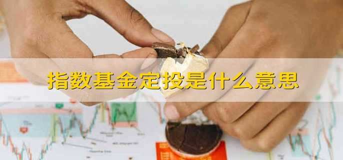 指数基金定投是什么意思