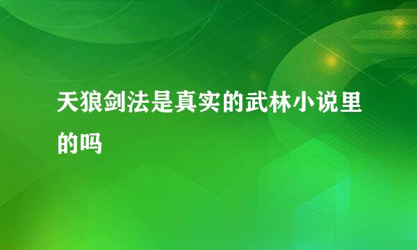 天狼剑法是真实的武林小说里的吗