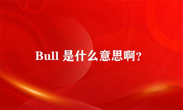 Bull 是什么意思啊？