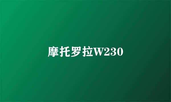 摩托罗拉W230