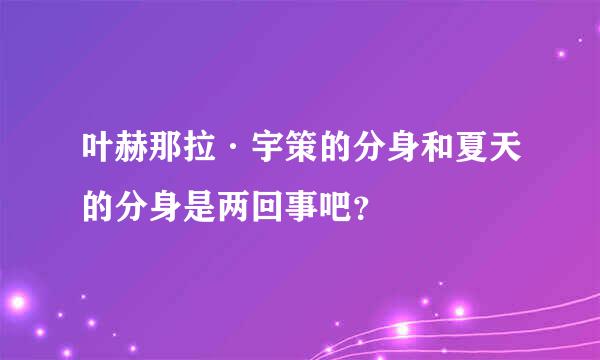 叶赫那拉·宇策的分身和夏天的分身是两回事吧？