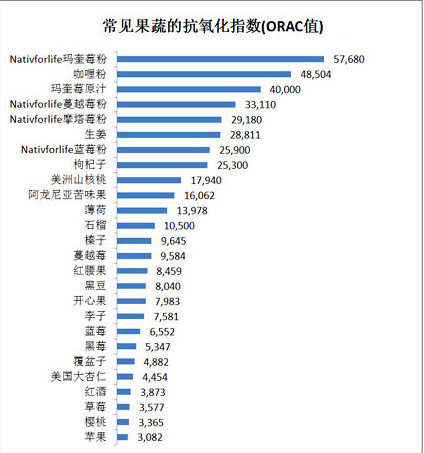 抗氧化是什么意思?