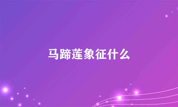 马蹄莲象征什么