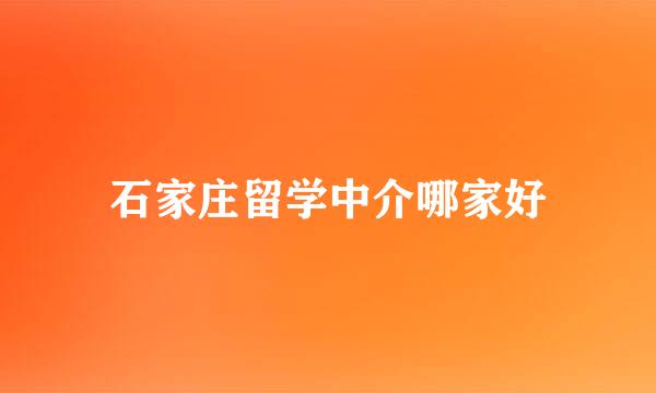 石家庄留学中介哪家好