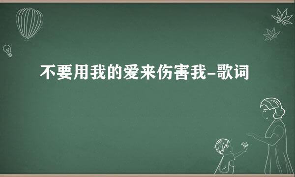 不要用我的爱来伤害我-歌词