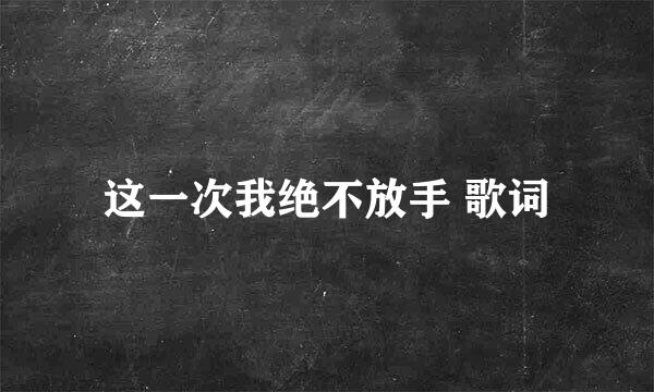 这一次我绝不放手 歌词