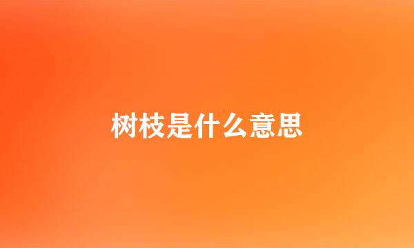 树枝是什么意思