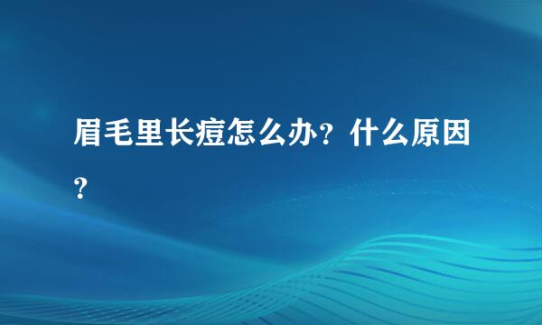 眉毛里长痘怎么办？什么原因？