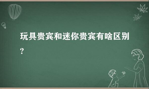 玩具贵宾和迷你贵宾有啥区别?