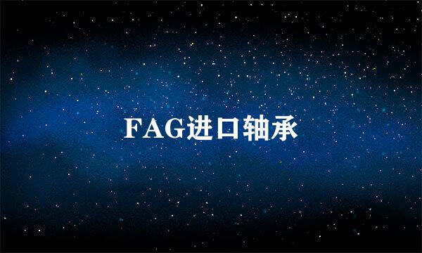 FAG进口轴承