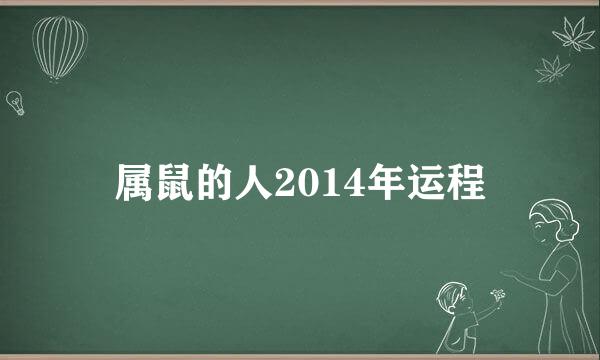 属鼠的人2014年运程