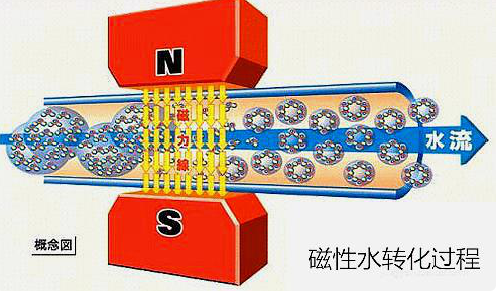 什么是磁化水?怎样制作磁化水?