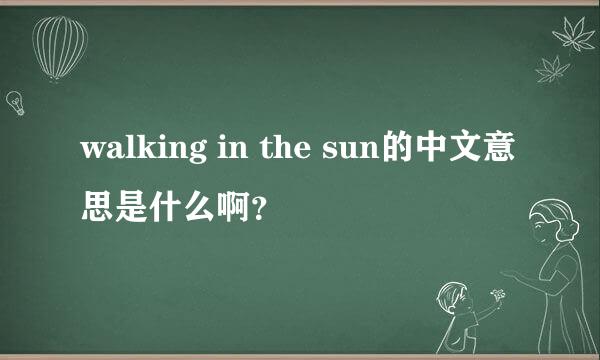 walking in the sun的中文意思是什么啊？