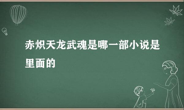 赤炽天龙武魂是哪一部小说是里面的