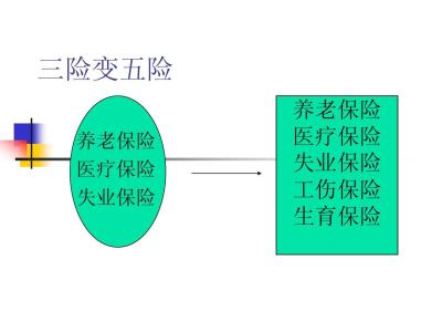 三险是哪三险