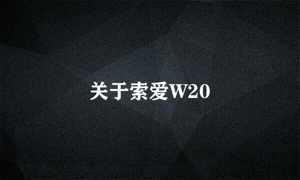 关于索爱W20