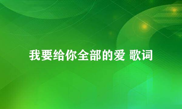 我要给你全部的爱 歌词