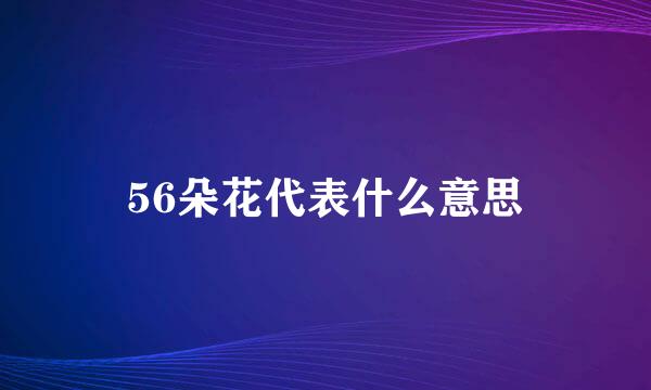 56朵花代表什么意思