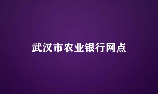 武汉市农业银行网点