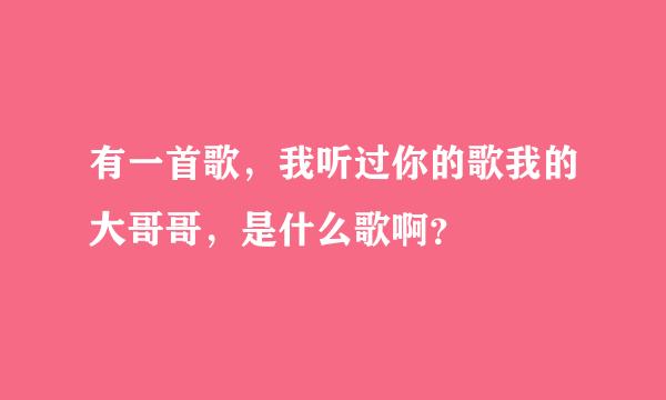 有一首歌，我听过你的歌我的大哥哥，是什么歌啊？