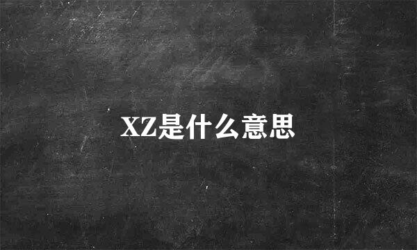 XZ是什么意思