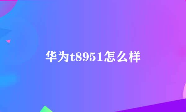 华为t8951怎么样