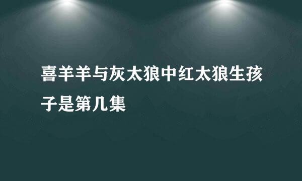 喜羊羊与灰太狼中红太狼生孩子是第几集