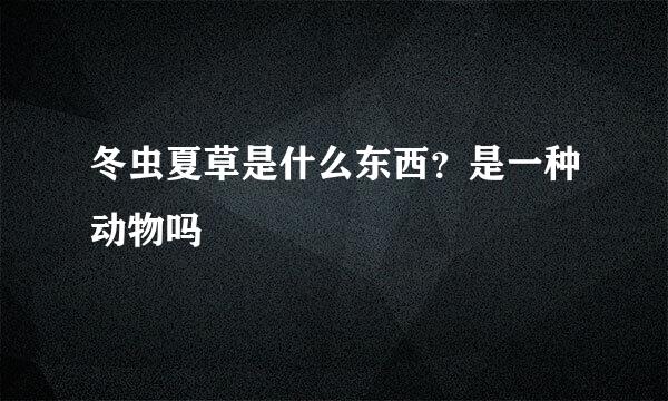 冬虫夏草是什么东西？是一种动物吗