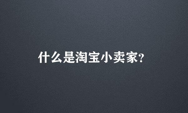 什么是淘宝小卖家？