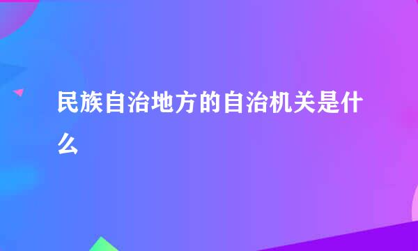 民族自治地方的自治机关是什么