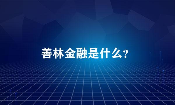 善林金融是什么？