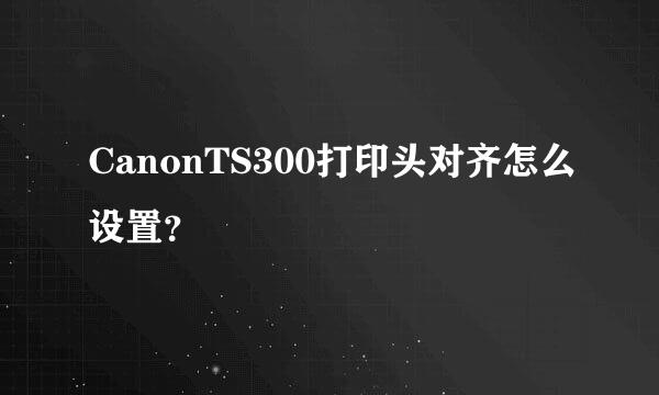 CanonTS300打印头对齐怎么设置？