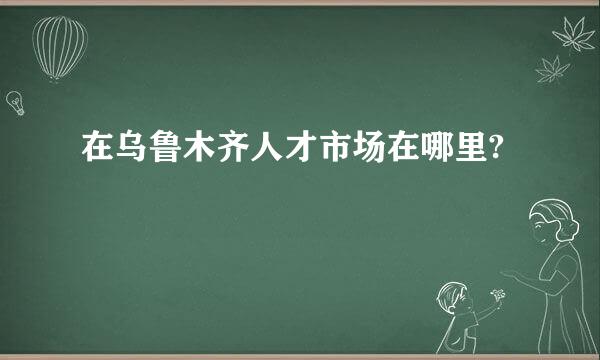 在乌鲁木齐人才市场在哪里?