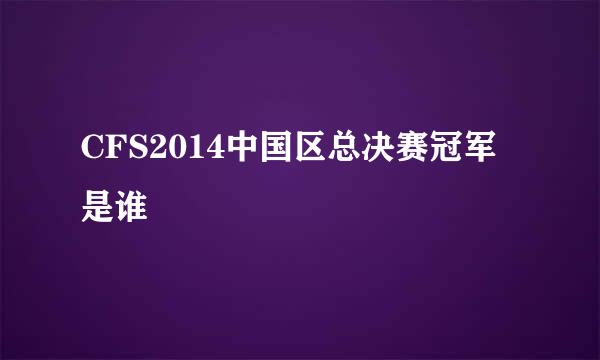 CFS2014中国区总决赛冠军是谁