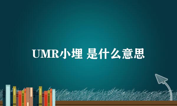 UMR小埋 是什么意思