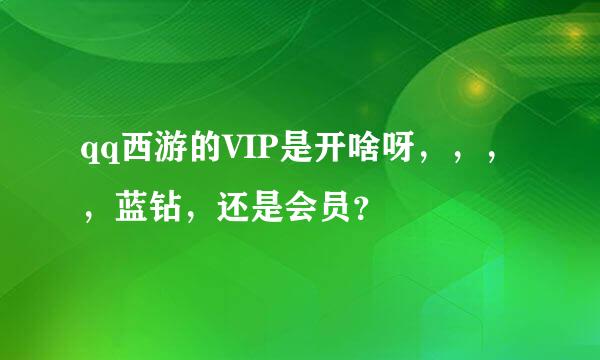 qq西游的VIP是开啥呀，，，，蓝钻，还是会员？