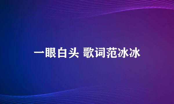 一眼白头 歌词范冰冰