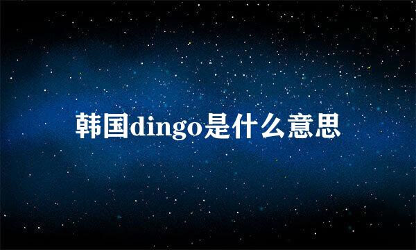 韩国dingo是什么意思