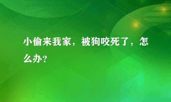 小偷来我家，被狗咬死了，怎么办？