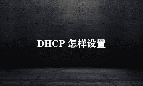 DHCP 怎样设置