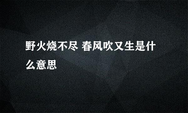 野火烧不尽 春风吹又生是什么意思