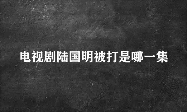 电视剧陆国明被打是哪一集