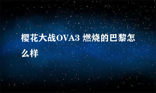 樱花大战OVA3 燃烧的巴黎怎么样