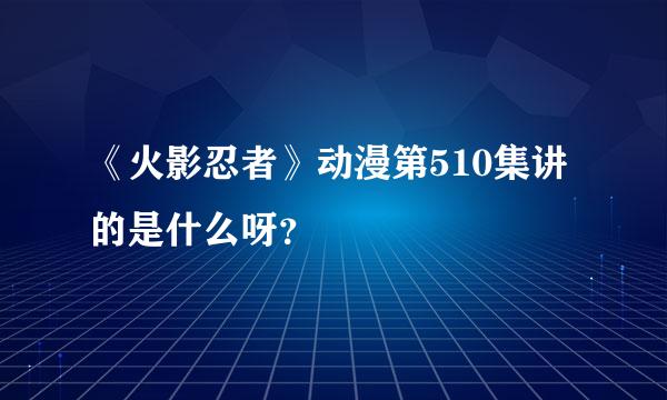 《火影忍者》动漫第510集讲的是什么呀？