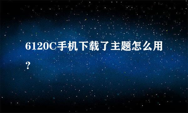 6120C手机下载了主题怎么用？