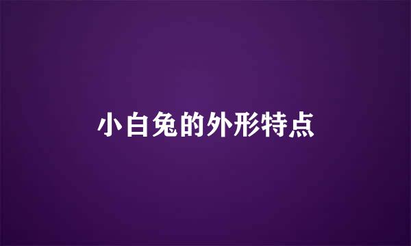 小白兔的外形特点